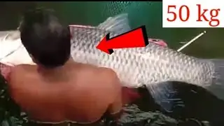 50 kg fiss  digitha wheel #india all video # video