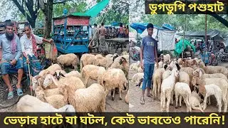 বাজার খারাপ হওয়া সত্বেও ভেড়া নিয়ে যা ঘটে গেল, ডুগডুগি পশুহাট! #ram