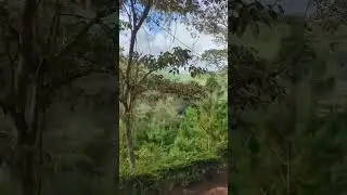 EXPLORE USAMBARA WITH RAFIKI WA FAIDA /LUSHOTO EXECUTIVE LODGE