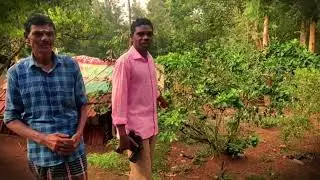 Documentary on Soliga Tribes | Gorukhana resort| BR hills