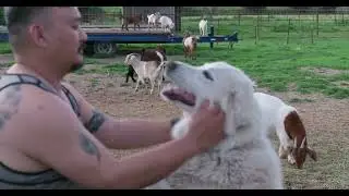 Springtime on the Farm 2024