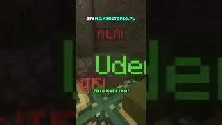 Kozacki serwer minecraft z r&oacute;żnymi trybami #minecraft #minetopia #serwer