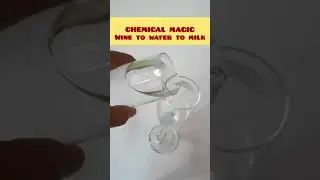 Wine to water to milk #shorts #viral #experiment #trending