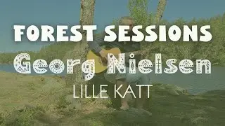 [FINGERSTYLE ACOUSTIC GUITAR] Georg Nielsen - Lille katt (Astrid Lindgren & Georg Riedel)