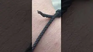ползает зеленая какашка