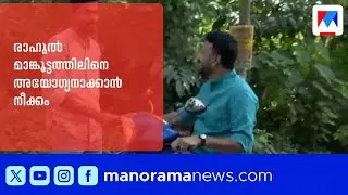 രാഹുൽ മാങ്കൂട്ടത്തിലിനെ അയോഗ്യനാക്കാൻ നീക്കം; നിയമോപദേശം തേടുമെന്ന് സ്പീക്കർ എ.എൻ ഷംസീർ