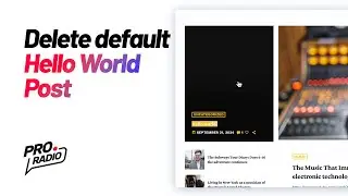 How to delete the default Hello World post from WordPress [Pro Radio WordPress Theme Tutorial]