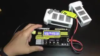 Multiple Purpose Charger for DJI Phantom 3 Batteries