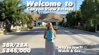 Is that REALLY the price?! Here's why! Shadow Island Tour