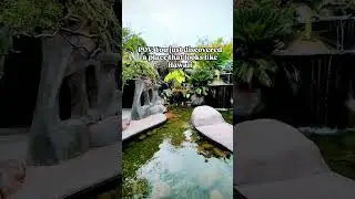 🌴 Surprise Putt-Putt Paradise in Seneca, SC! 🌴