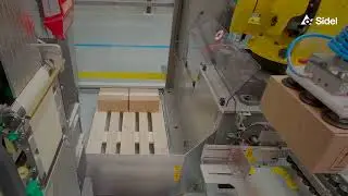 Cermex SW+PR case packing and palletizing Combi unit