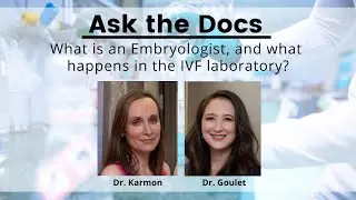 Ask the Docs: What is an Embryologist and What happens in the IVF Lab