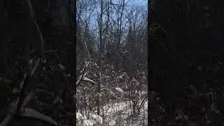 Shiny snow at the side of the country road