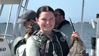 Division of Marine Fisheries&rsquo; Junior Marine Patrol camp offers hands-on learning