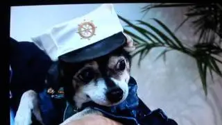 Anthony Rubio Interview on Pet Fashion for the Pet Network