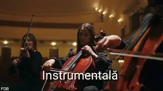 Negativ Original- Suflet drag/ Fernando din Barbulesti
