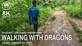 Walking with Dragons - VR180 8K 60FPS (4320s60)