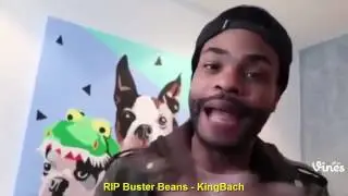 Beyond The Vine Compilation December 2016 Week 3 | Best Vines & Instagram Funny Videos 2016