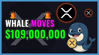 XRP Whale Just Moved $109,000,000!🚨WHALE ALERT