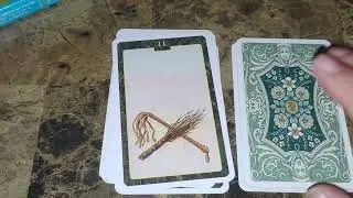 Unboxing the LO SCARABEO Lenormand Oracle Cards!