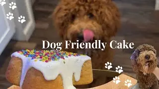 How to Make a Dog Cake: Celebrate with Your Furry Friend!