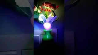 colour changing mushroom light for bedroom #shorts #bedroom #mushroomlight