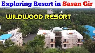 One of The Best Resorts in Sasan Gir | WildWood Resort Sasan Gir
