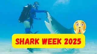 &ldquo;Shark Week 2025: How to Watch, Full Schedule & Jaw-Dropping Dancing with Sharks!&rdquo;