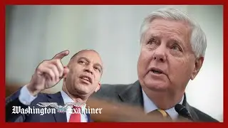 Линдси Грэм откладывает голосование по вопросу о приостановке работы правительства из-за благотво...