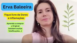 O Melhor Anti inflamat&oacute;rio Natural  - Erva Baleeira - Saiba Tudo sobe essa planta medicinal