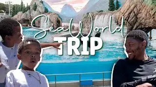 The Beal Family Goes to Seaworld!