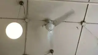 Hampton Bay &ldquo;Industrial&rdquo; Ceiling Fan