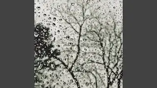 Savannah Showers