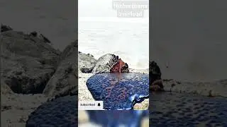 😜👍 New trending AI effects (Melt it) ✌🤪 #shorts #AI #aiviral #aiworkshop #trending #viral