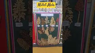 Millet Mela at Hyderabad | Millet Exhibition at Hyderabad | Telugu Farming Vlogs