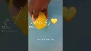 Rose Toy