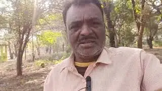 Happy moments #song #hindisong #nature