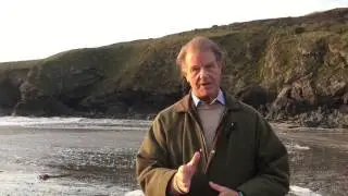 How to Handle Questions Well and Professionally Part 3 | The Presentation Maestro
