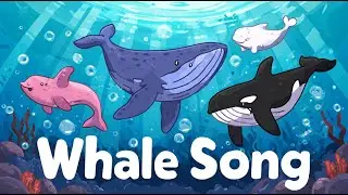 Песенка про китов для детей 🐳 | Пойте с китами | Песенка про морских животных
