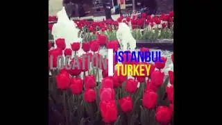 Travel Dejavu - Tulip festival a.k.a lale festivali in Emirgan Grove Taksim Square Istanbul