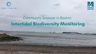 SLL Intertidal Protocol Demo