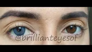 Siesta Black Cloud Blue - (Brilliant Eyes)
