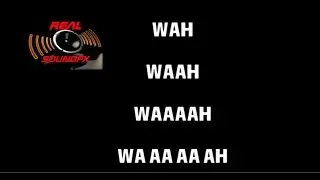WAH WAAH WAAAH WA AA AH sound effect - epic fail realsoundFX