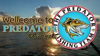 Wellcome Predator Channel