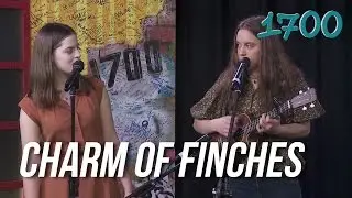 Charm Of Finches - 'Sky Watching' // Live on 1700