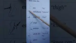 Aklo ekwa gho ene Engwo (Parts of the body in Engwo)