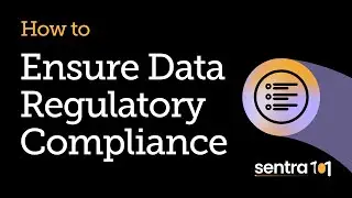 How to Ensure Regulatory Compliance in Data Security