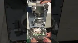 ✨ Gondor Automatic Tapioca Pearl Making Machine - Efficient & Reliable Tapioca Production 🌟