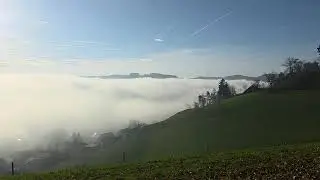 Magical Fog Ocean at Albert Bitzius Denkmal, Sumiswald #shorts #travel #nature