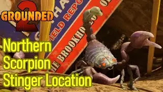 Grounded 2 northern scorpion stinger location